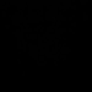 Meet your Posher, Abejah